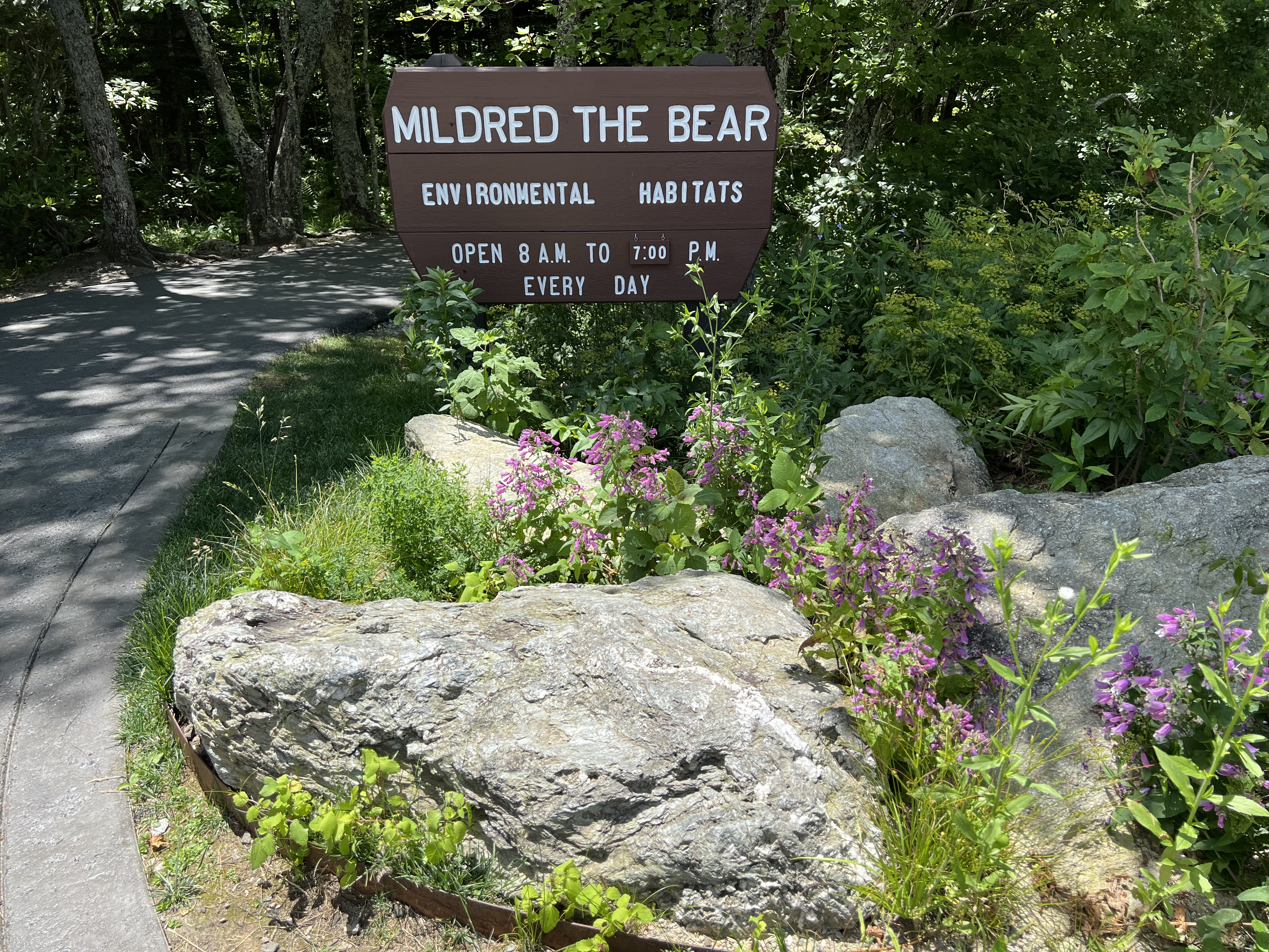 ./2024/08 - Banner Elk/Grandfather Mountain/IMG_1957.jpg